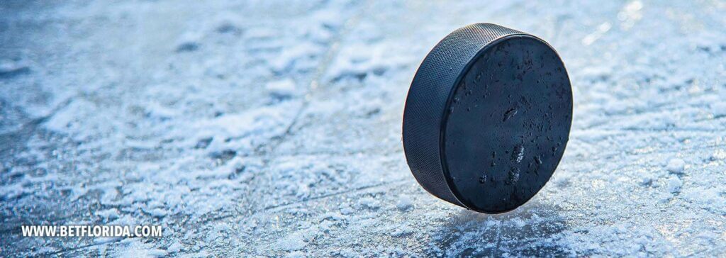 local hockey puck on local ice